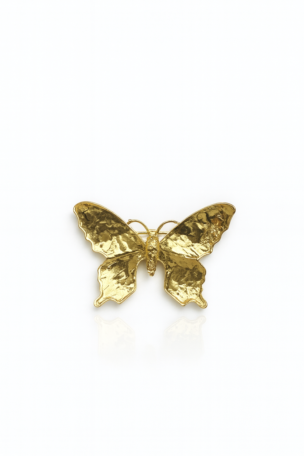 Gilded Meadow Butterfly